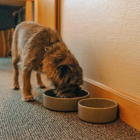 فندق Thorbjornrud 4*