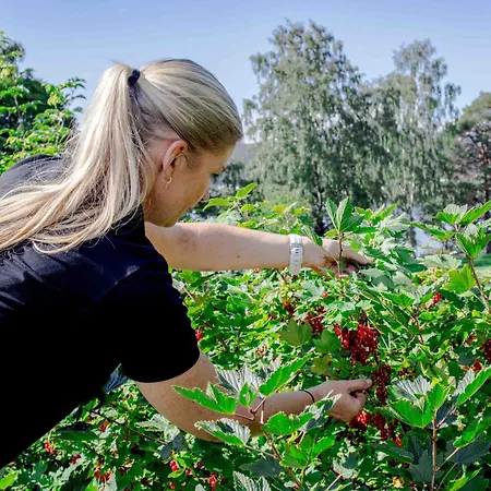 Thorbjornrud Jevnaker