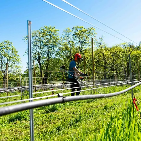 Hotel Thorbjornrud 4*