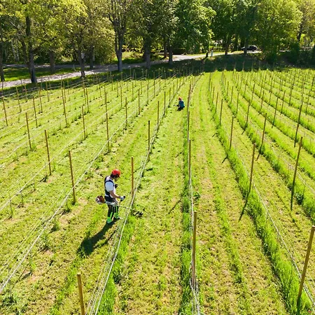 فندق Thorbjornrud Jevnaker