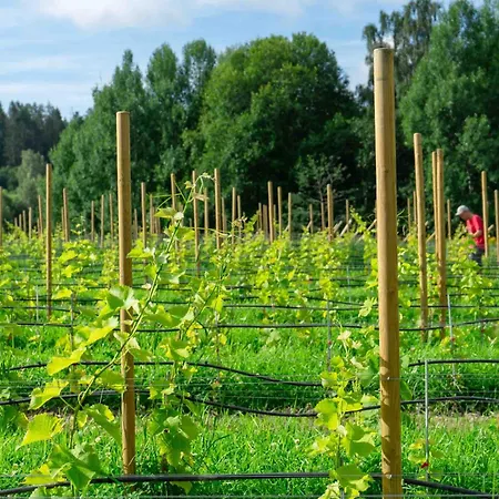 Thorbjornrud Jevnaker