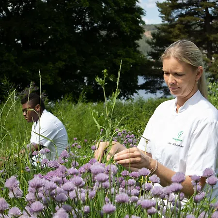 Thorbjornrud Евнакер