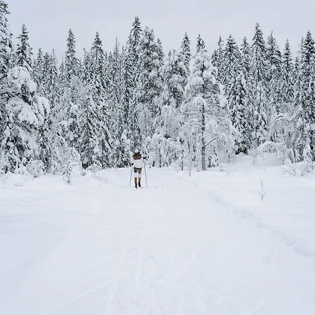 Thorbjornrud Отель 4*